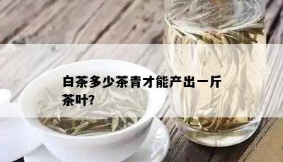 白茶多少茶青才能产出一斤茶叶？