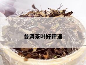 普洱茶叶好评语