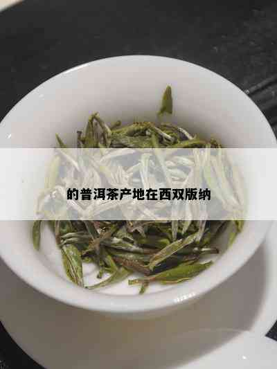 的普洱茶产地在西双版纳