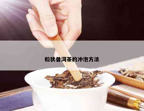 粒状普洱茶的冲泡方法