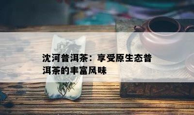 沈河普洱茶：享受原生态普洱茶的丰富风味