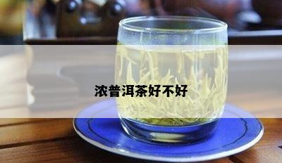 浓普洱茶好不好