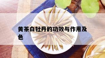 黄茶白牡丹的功效与作用及色