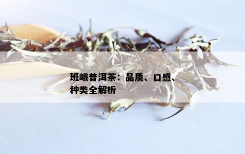 班峨普洱茶：品质、口感、种类全解析