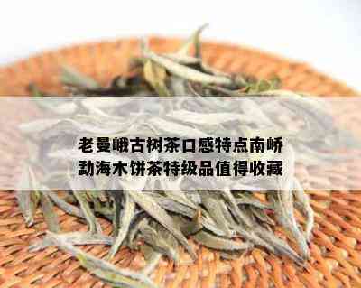 老曼峨古树茶口感特点南峤勐海木饼茶特级品值得收藏