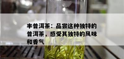 丰普洱茶：品尝这种独特的普洱茶，感受其独特的风味和香气