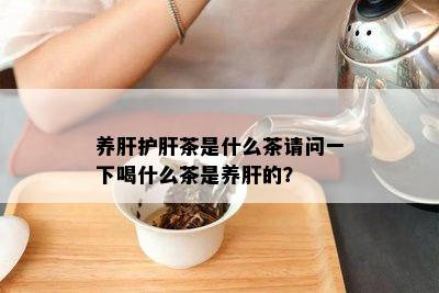 养肝护肝茶是什么茶请问一下喝什么茶是养肝的？