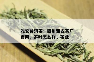 雅安普洱茶：四川雅安茶厂官网，茶叶怎么样，茶业