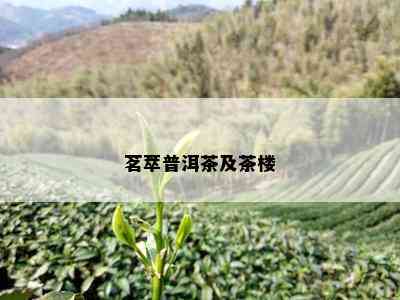 茗萃普洱茶及茶楼