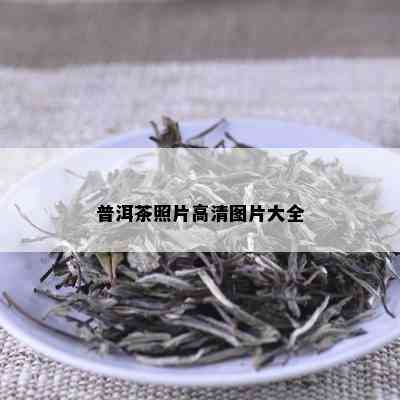 普洱茶照片高清图片大全