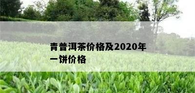 青普洱茶价格及2020年一饼价格