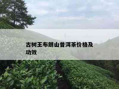 古树王布朗山普洱茶价格及功效