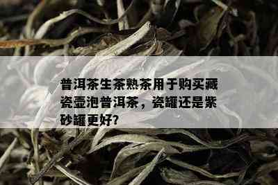 普洱茶生茶熟茶用于购买藏瓷壶泡普洱茶，瓷罐还是紫砂罐更好？