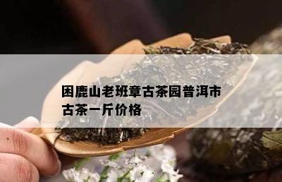 困鹿山老班章古茶园普洱市古茶一斤价格