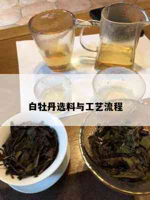 白牡丹选料与工艺流程