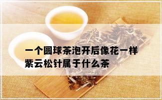 一个圆球茶泡开后像花一样紫云松针属于什么茶