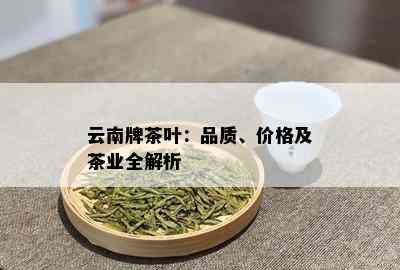 云南牌茶叶：品质、价格及茶业全解析