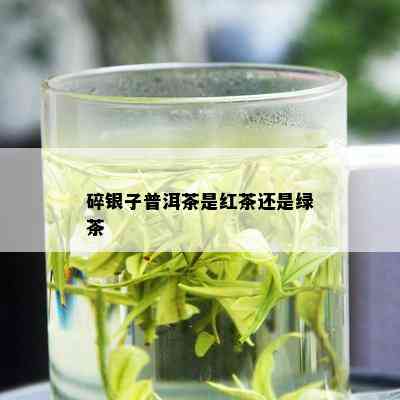 碎银子普洱茶是红茶还是绿茶