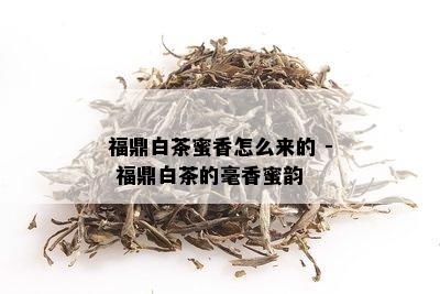 福鼎白茶蜜香怎么来的 - 福鼎白茶的毫香蜜韵