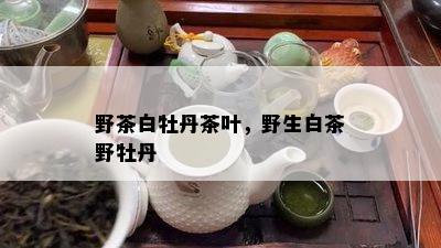 野茶白牡丹茶叶，野生白茶野牡丹