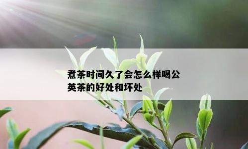 煮茶时间久了会怎么样喝公英茶的好处和坏处