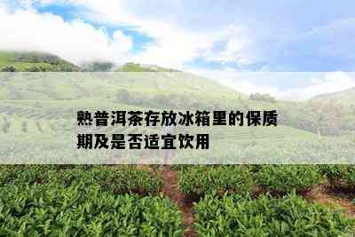 熟普洱茶存放冰箱里的保质期及是否适宜饮用