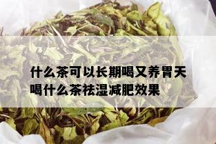 什么茶可以长期喝又养胃天喝什么茶祛湿减肥效果