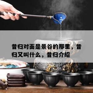 昔归对面是景谷的那里，昔归又叫什么，昔归介绍