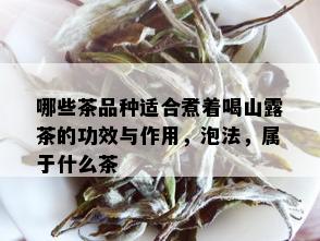 哪些茶品种适合煮着喝山露茶的功效与作用，泡法，属于什么茶