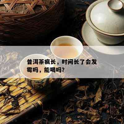 普洱茶疯长，时间长了会发霉吗，能喝吗？