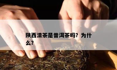 陕西清茶是普洱茶吗？为什么？