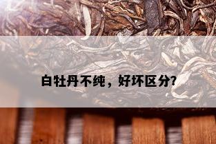 白牡丹不纯，好坏区分？