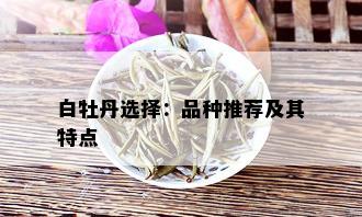 白牡丹选择：品种推荐及其特点