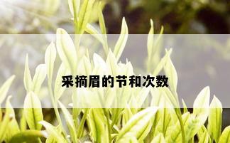 采摘眉的节和次数