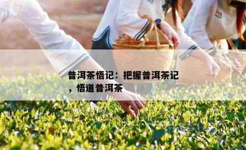 普洱茶悟记：把握普洱茶记，悟道普洱茶