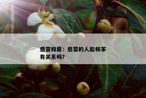 感冒和眉：感冒的人能和茶有关系吗？