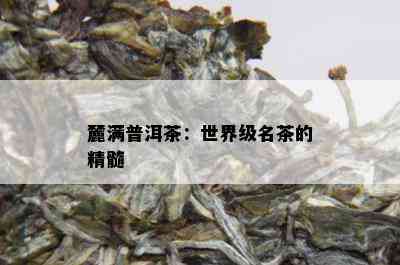 麓满普洱茶：世界级名茶的精髓