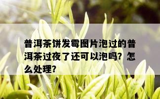 普洱茶饼发霉图片泡过的普洱茶过夜了还可以泡吗？怎么处理？