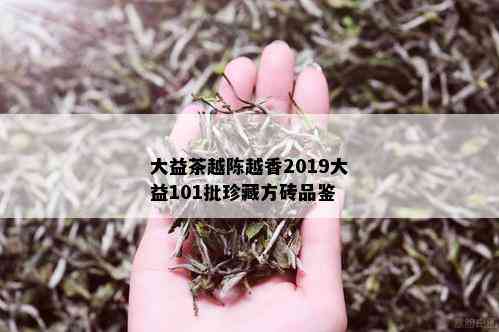 大益茶越陈越香2019大益101批珍藏方砖品鉴