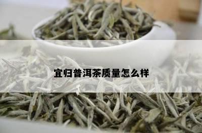 宜归普洱茶质量怎么样