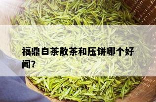 福鼎白茶散茶和压饼哪个好闻？