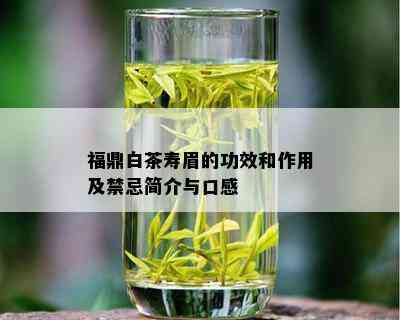 福鼎白茶寿眉的功效和作用及禁忌简介与口感