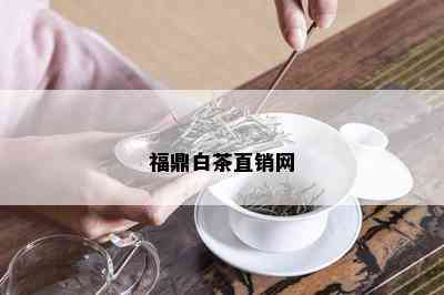 福鼎白茶直销网