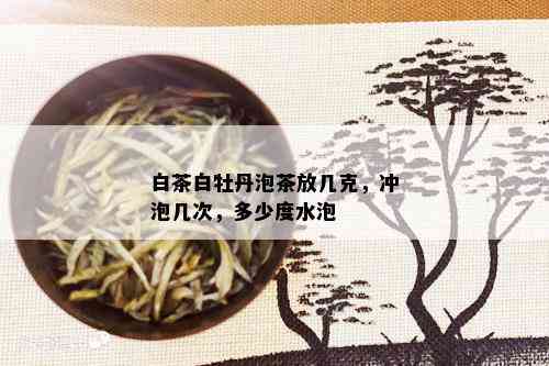 白茶白牡丹泡茶放几克，冲泡几次，多少度水泡