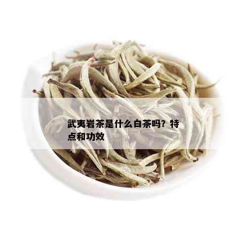 武夷岩茶是什么白茶吗？特点和功效