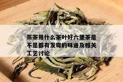 蒸茶用什么茶叶好六堡茶是不是都有发霉的味道及相关工艺讨论