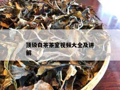 顶级白茶茶室视频大全及讲解