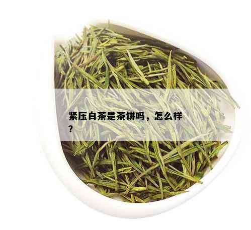 紧压白茶是茶饼吗，怎么样？