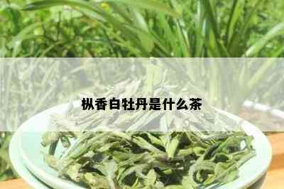 枞香白牡丹是什么茶