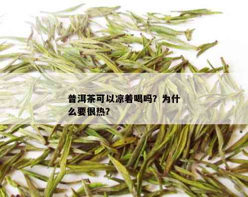 普洱茶可以凉着喝吗？为什么要很热？